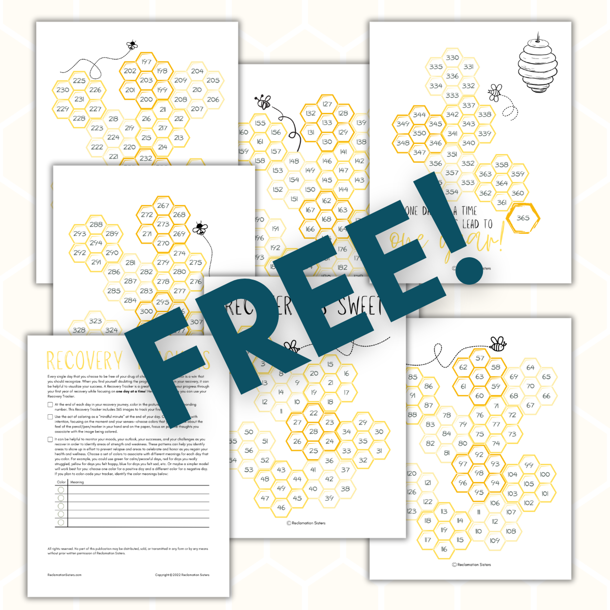 free recovery tracker